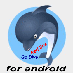 Go Dive Red Sea Sara Divers